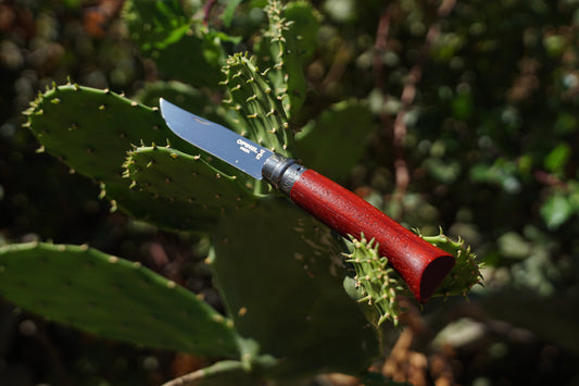 Opinel เหล็ก Stainless หรือ Carbon เลือกอย่างไร
