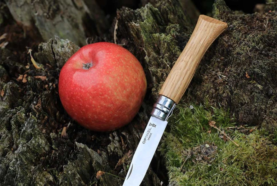 Opinel No.09 Stainless Steel Wood Handle