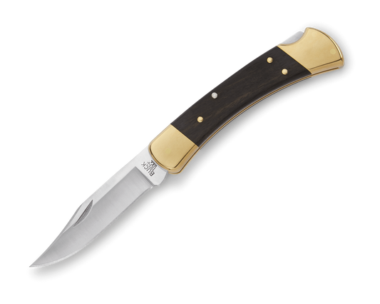 Buck 110 Folding Hunter (0110BRS)
