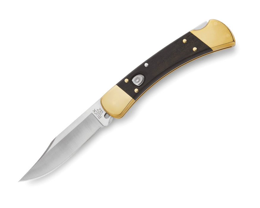 Buck 110 Folding Hunter Automatic (0110BRSA)