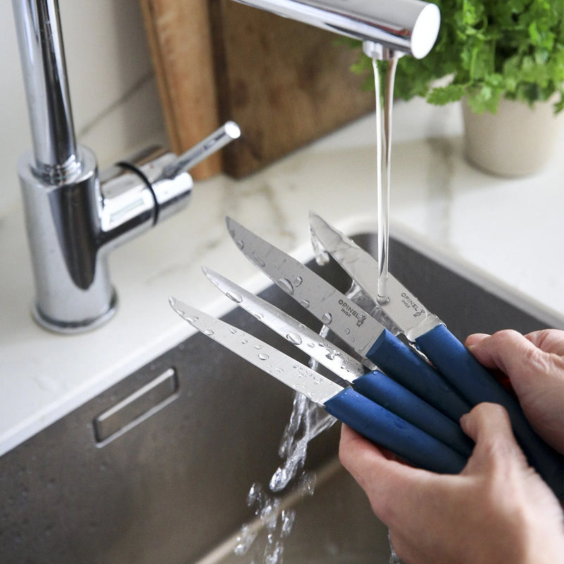 Opinel Bon Appetit+ Micro Serrated Table Knives Set Of 4