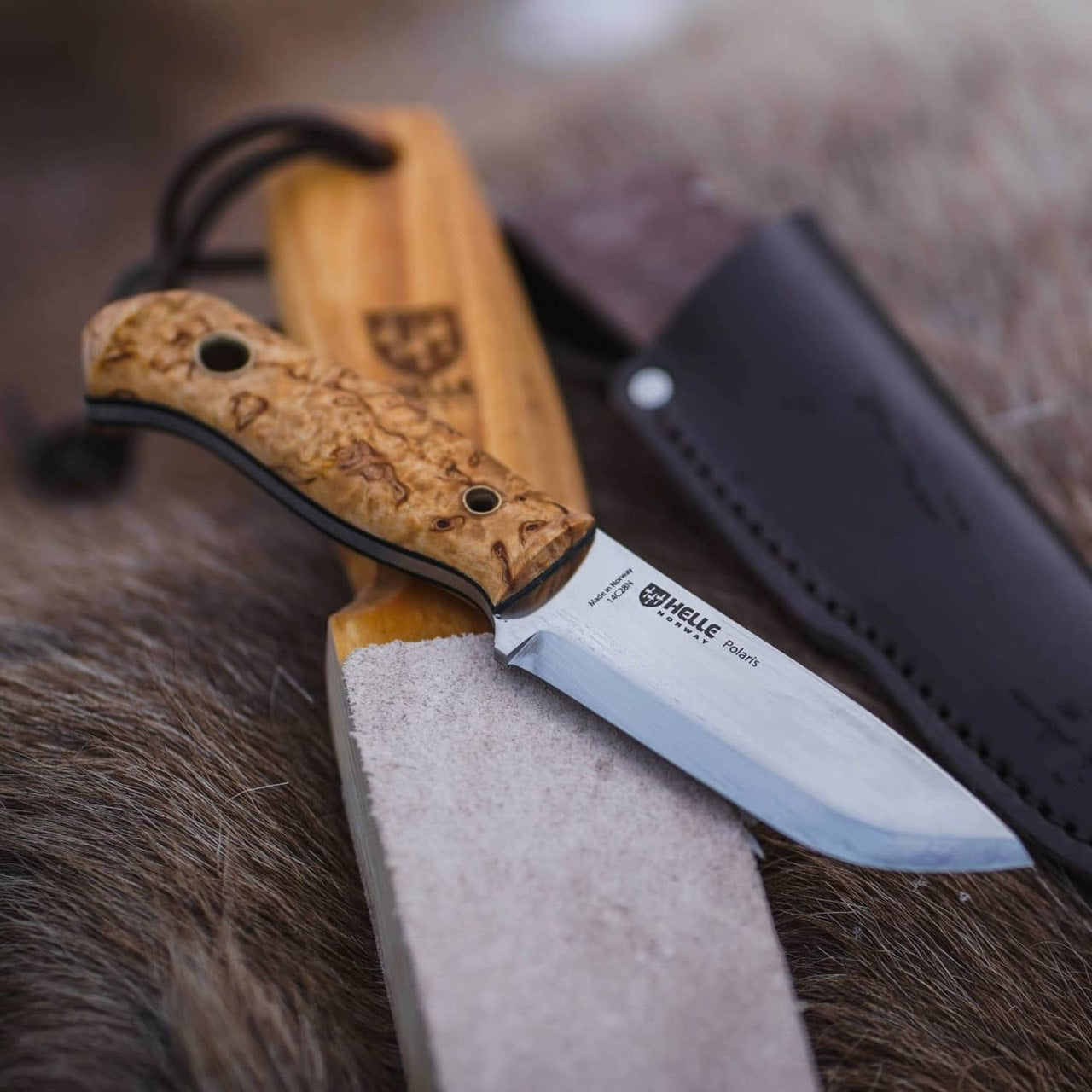Helle Polaris
