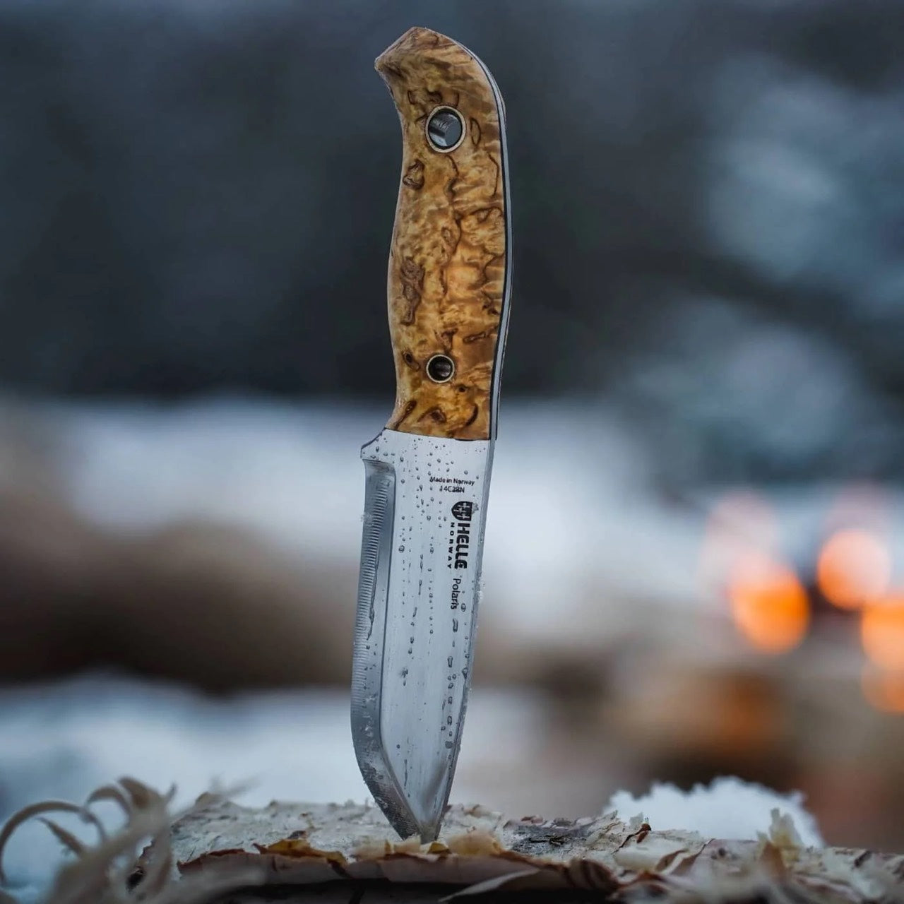 Helle Polaris