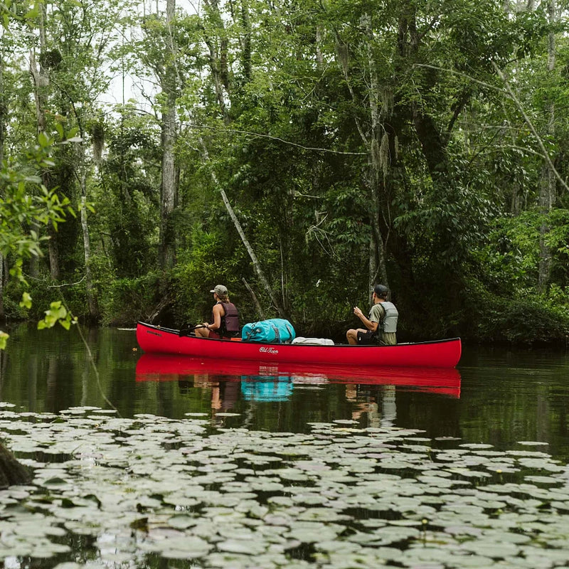 Old Town Discovery 169