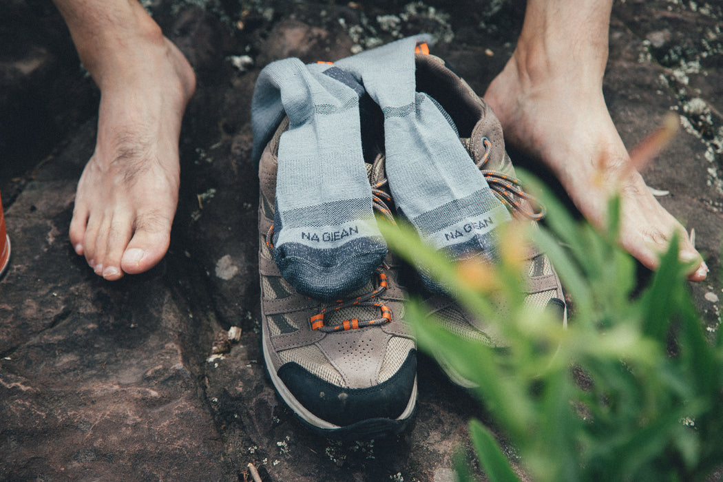 NG Enhanced Medium Weight Crew Hiking Socks