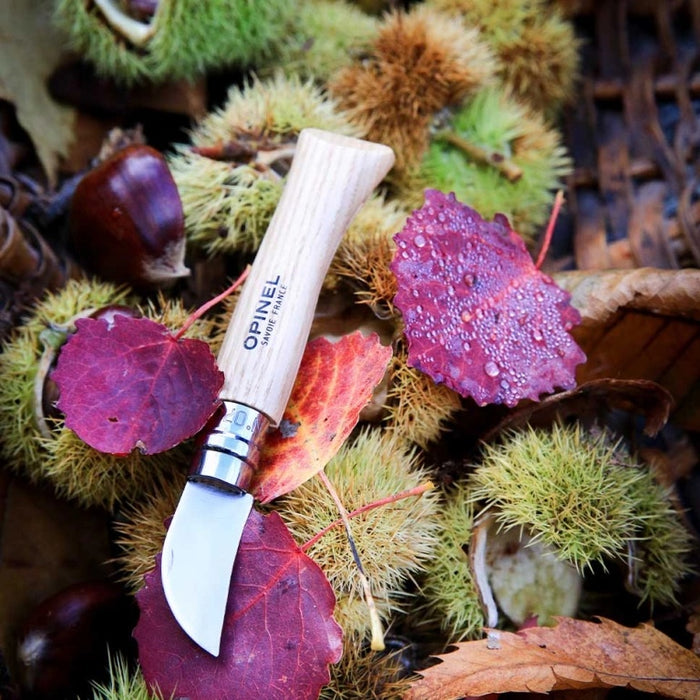 Opinel No.07 Stainless Steel Wood Handle