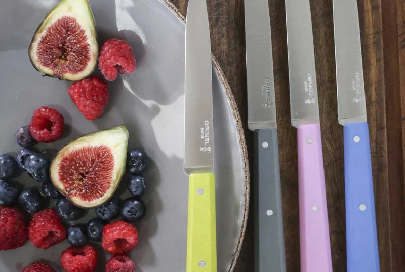 Opinel Bon Appetit Table Knives Set Of 4
