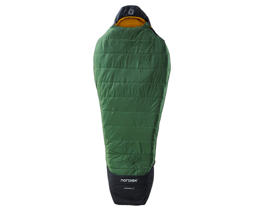WHS Nordisk Gormsson -2C Mummy