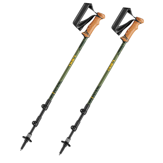 Leki Legacy Lite AS