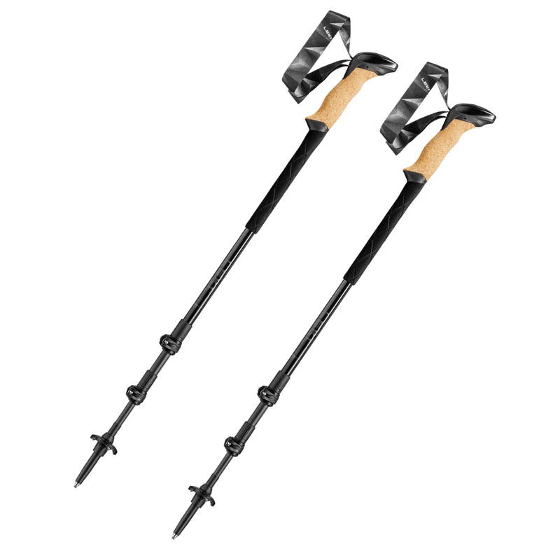 Leki Black Series Carbon