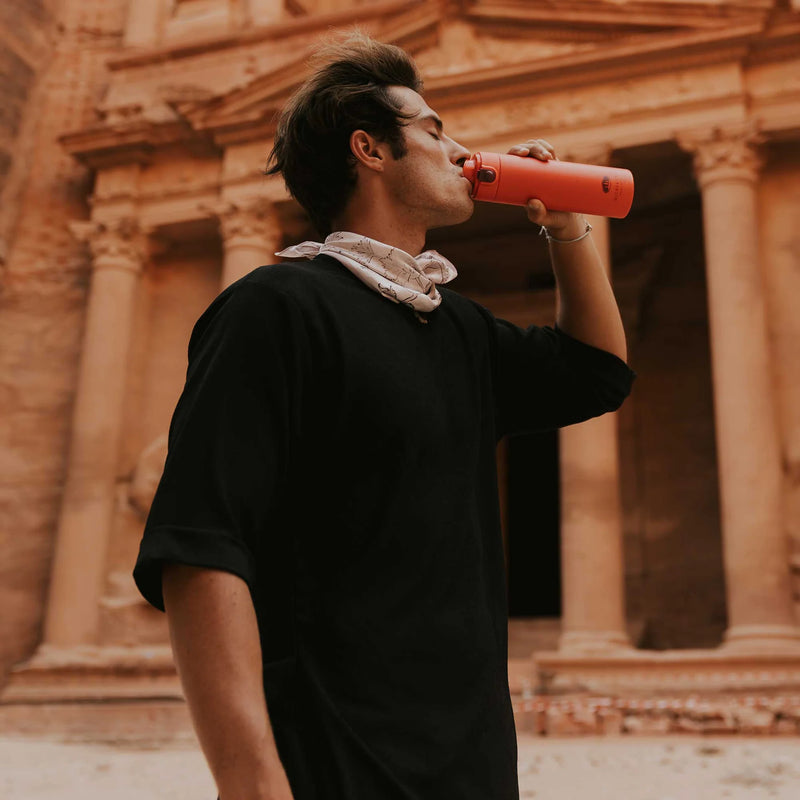 GSI Microlite 500 Flip II