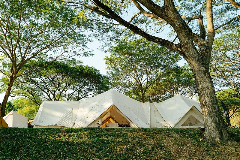 เต็นท์ใต้ร่มไม้ในงาน Outdoor Festival 2025 ที่ Bambusa