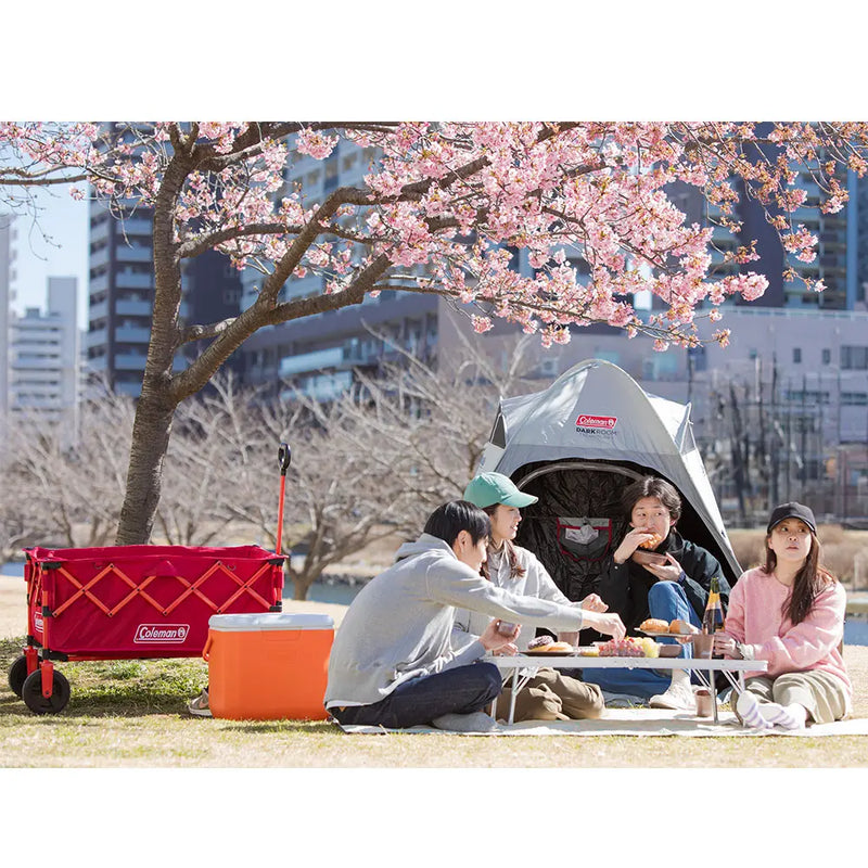 Coleman JP 30 QT Cooler