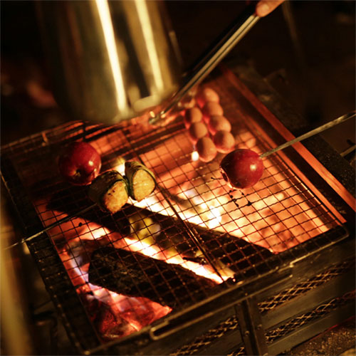 Coleman JP Fireplace Stainless 23233 — Thailandoutdoorshop