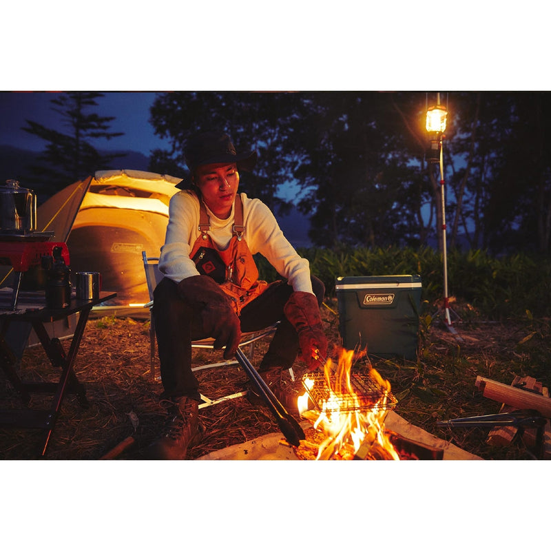 WHS Coleman JP Grill Basket Cooker 37304