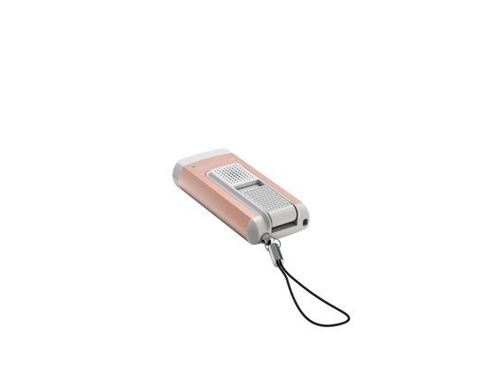 WHS Ledlenser K6R Safety