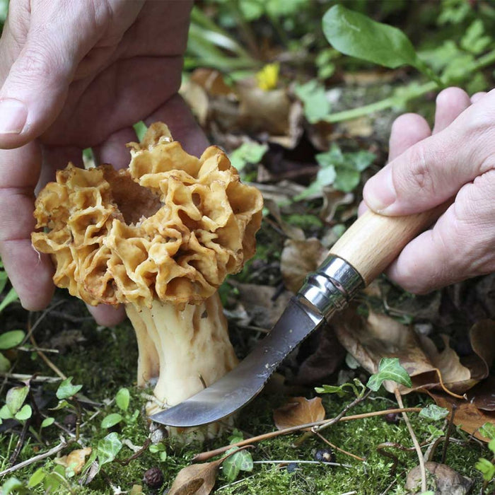 Opinel No.08 Mushroom Knife