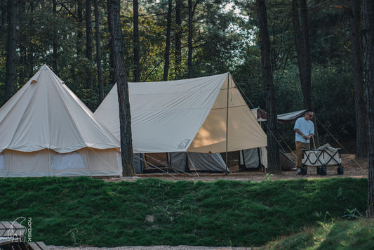 Nordisk Kari 20 Tarp