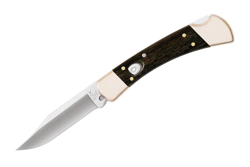 Buck 110 Folding Hunter Automatic (0110BRSA-B)